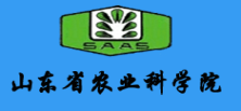 山東省農業科學院